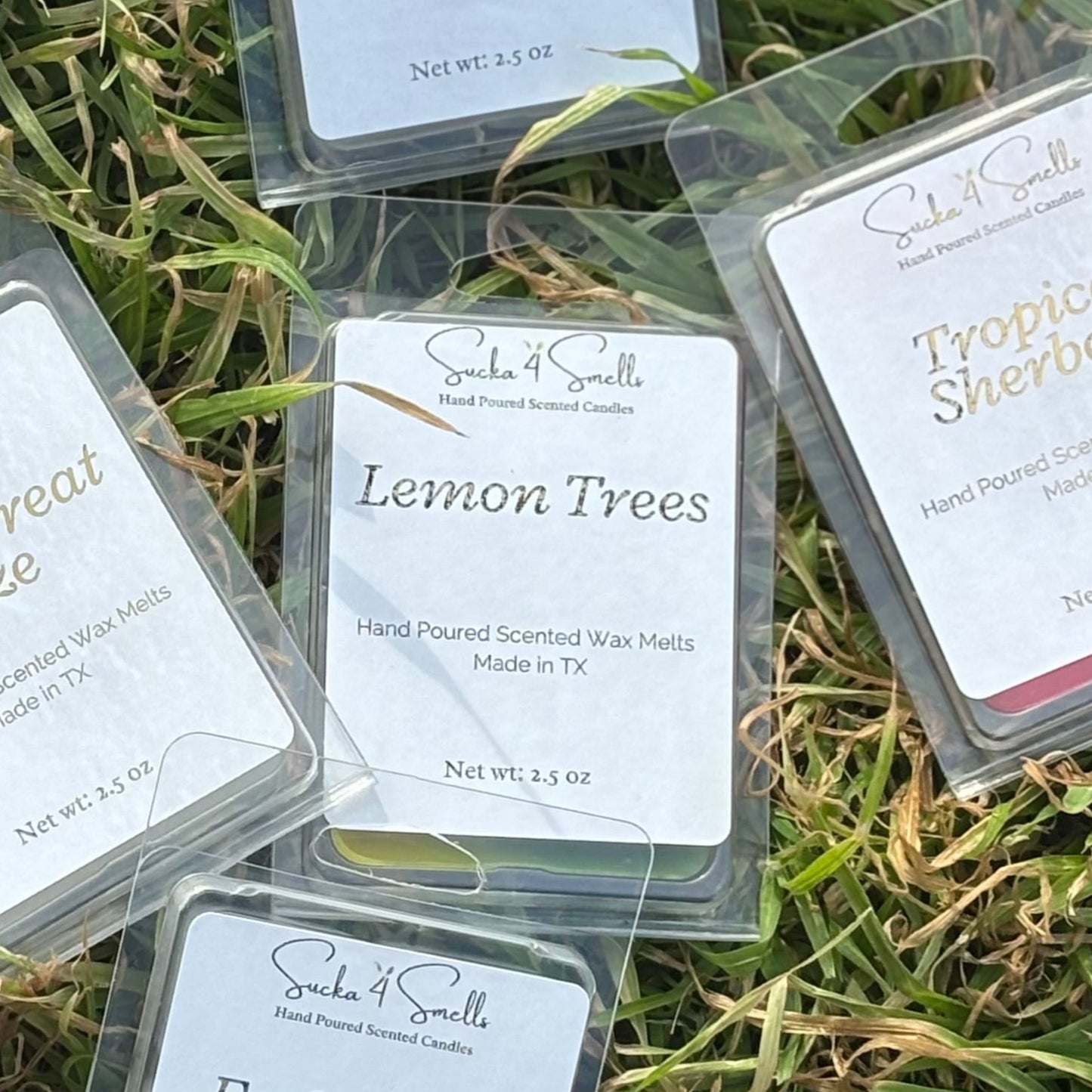Lemon Trees Wax Melt
